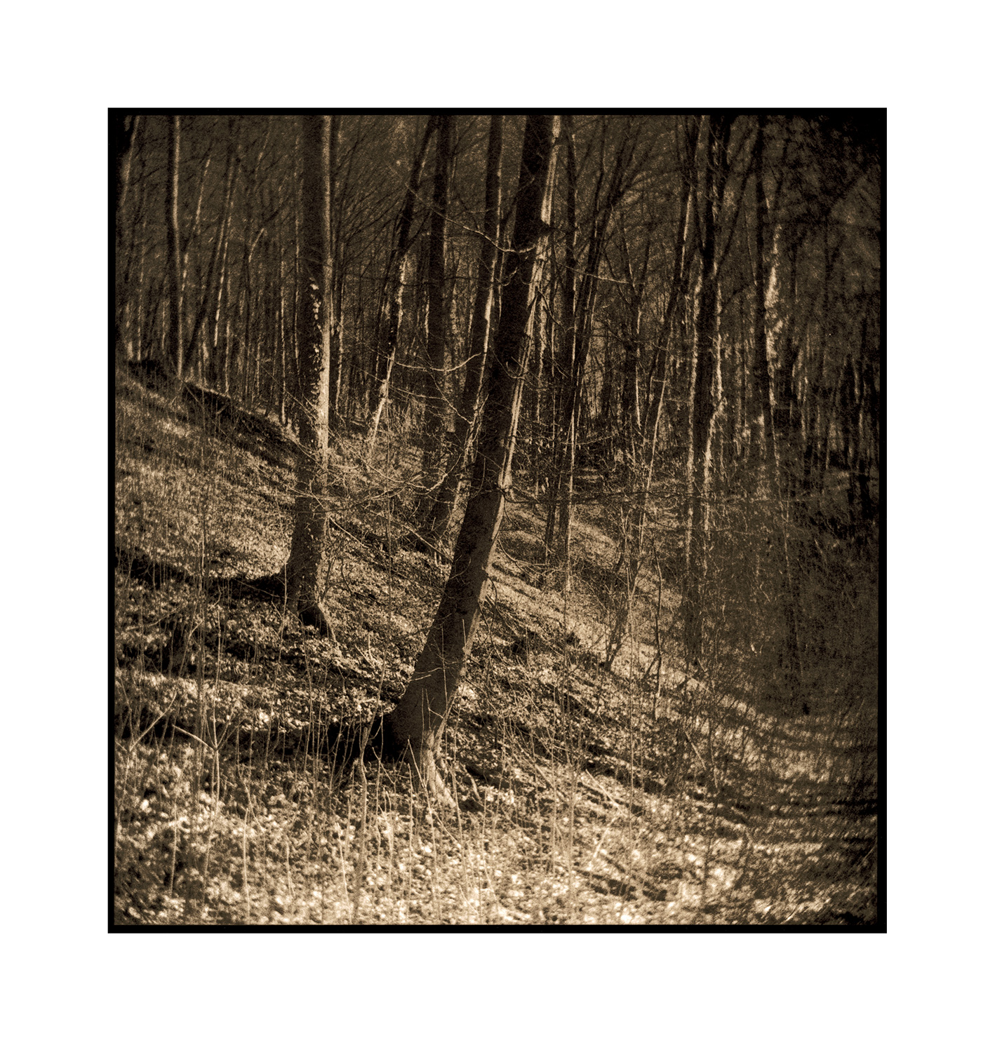 moersch-lith-omega-zweitbad-fotochemie-farbverst-rker image 2