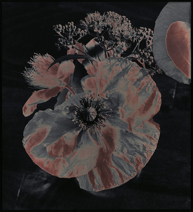 moersch-specials-chromoskedasic-sabattier-fotochemie image 6