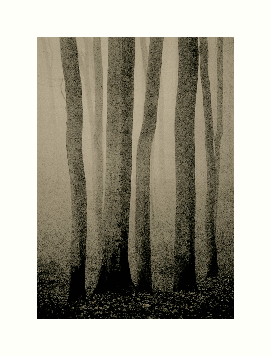 moersch-lith-g-zweitentwickler-lithentwickler-suspension image 8