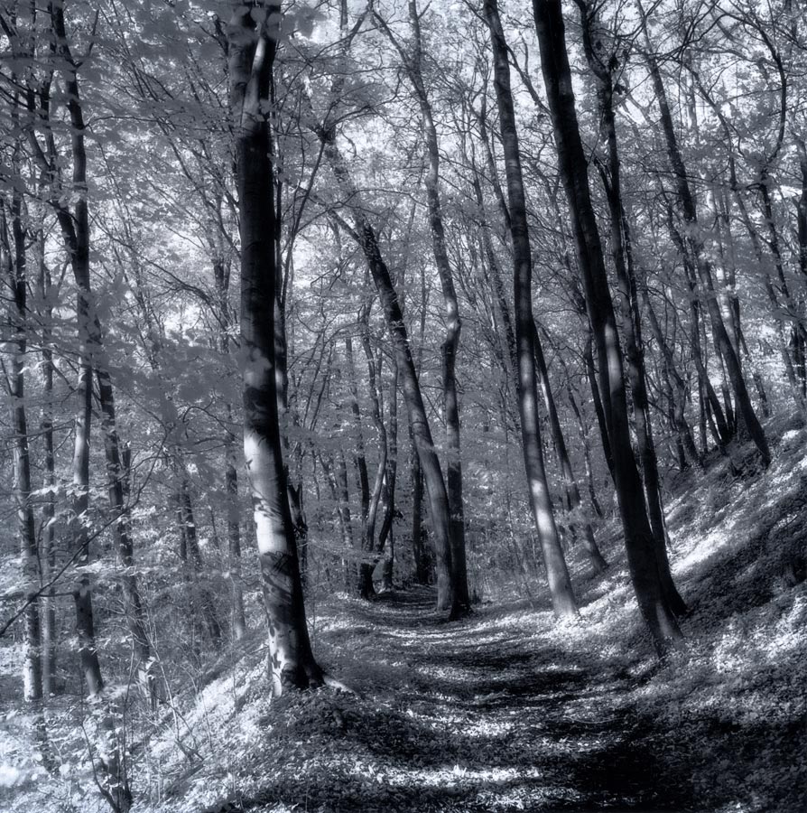 moersch-eco-film-developer-negativentwickler-feink-rnig-2-teilig image 6