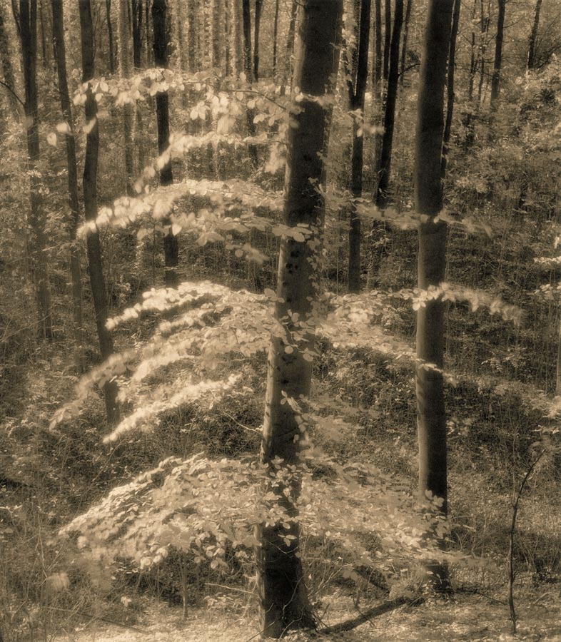 moersch-eco-film-developer-negativentwickler-feink-rnig-2-teilig image 7