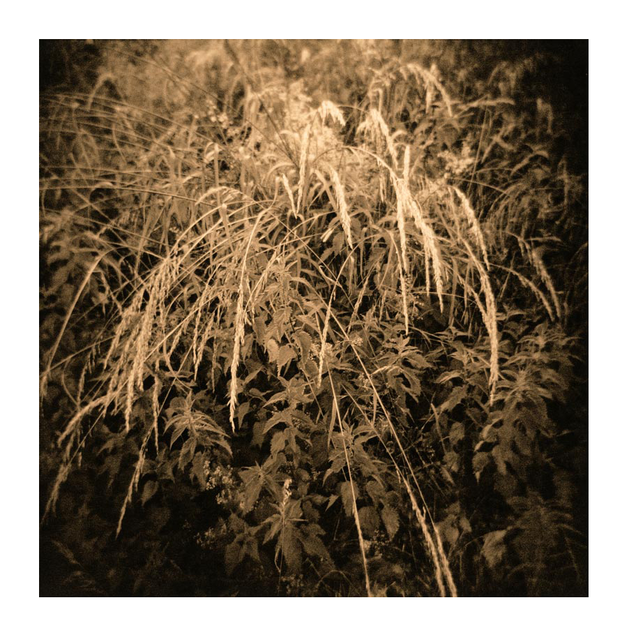moersch-lith-easylith-lithentwickler-200-ml image 6