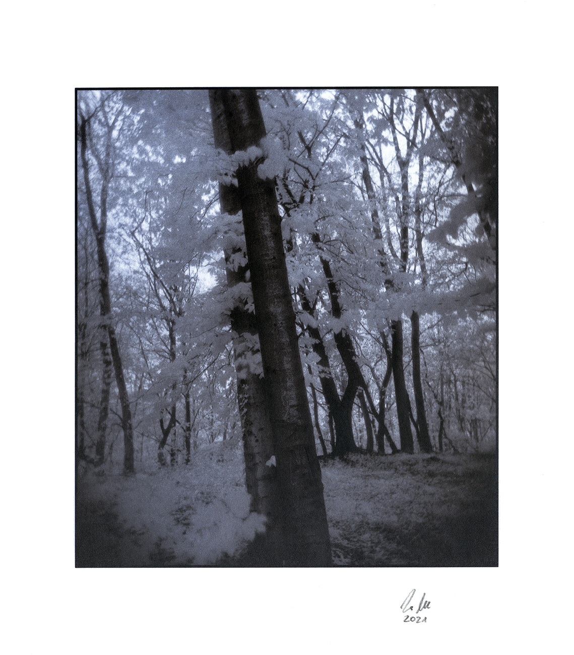 moersch-eco-film-developer-negativentwickler-feink-rnig-2-teilig image 3