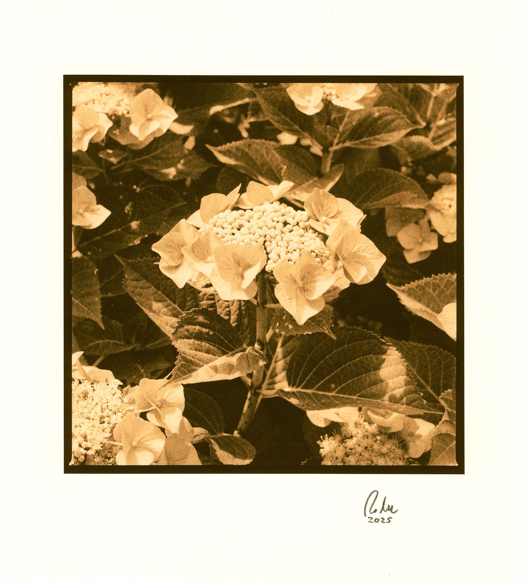 moersch-lith-omega-zweitbad-fotochemie-farbverst-rker image 8