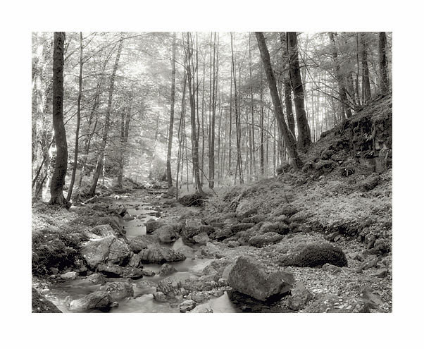 moersch-se1-sepia-positiventwickler-1-l-warmton image 6