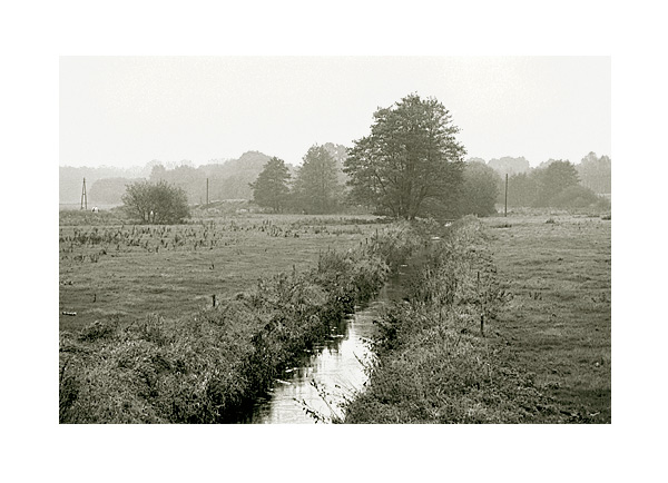 moersch-separol-positiventwickler-papier-pulver-ne-neutral image 4