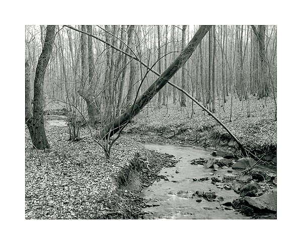 moersch-separol-positiventwickler-papier-pulver-ne-neutral image 3