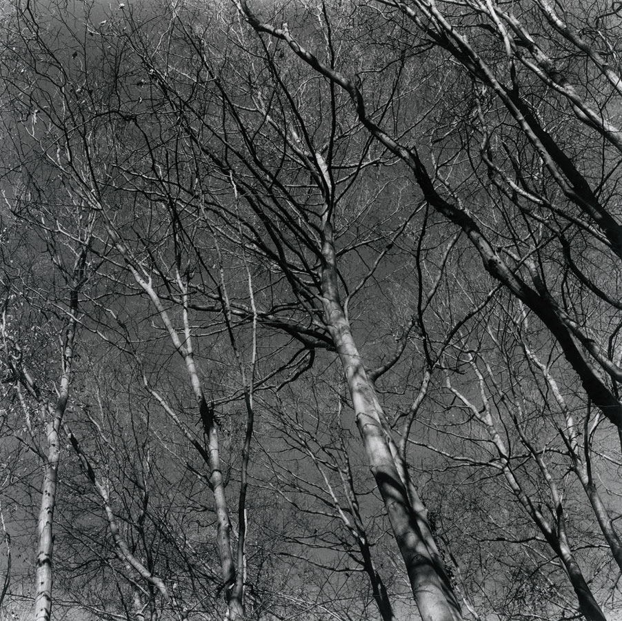 moersch-se6-blue-positiventwickler-1-l-blauton image 4