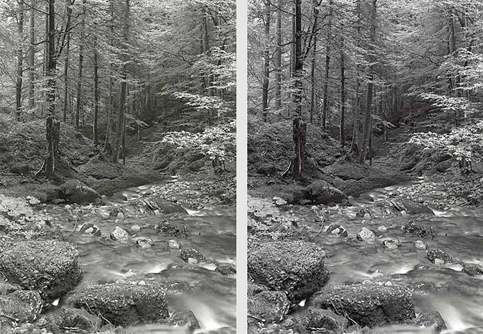 moersch-mt-mt1-selentoner-fototoner-konzentrat-1-10-bis-1-400 image 3