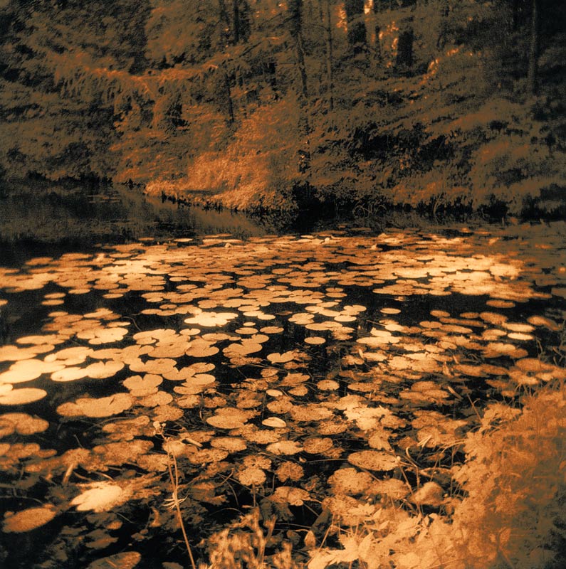moersch-lith-kit-omega-zweibadentwickler-f-r-lithprints image 3
