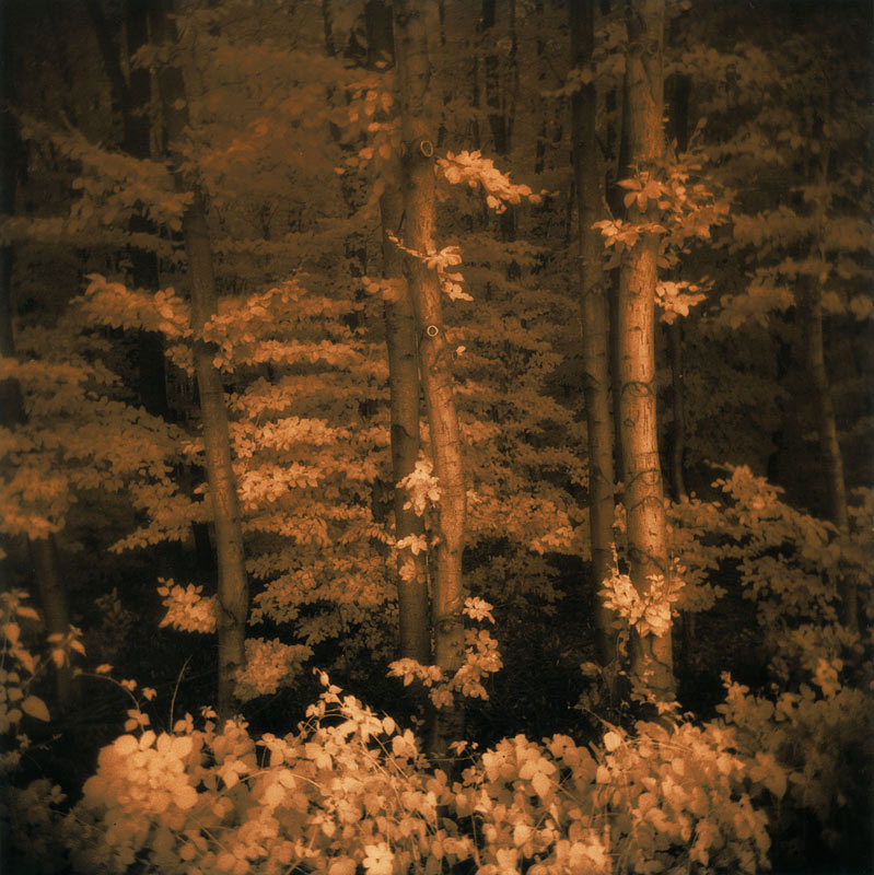 moersch-lith-omega-zweitbad-fotochemie-farbverst-rker image 6