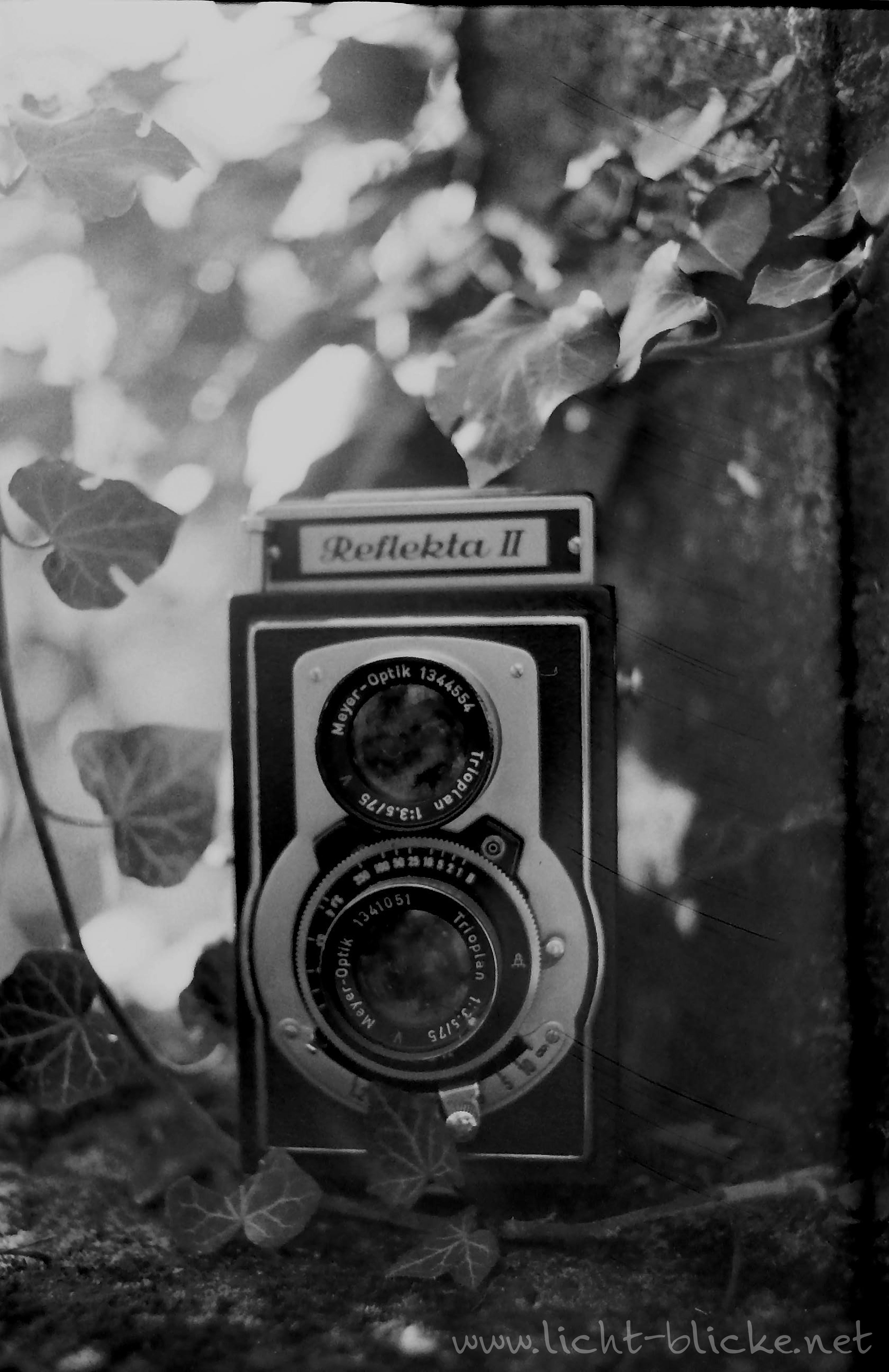original-wolfen-un54-schwarzwei-film-36er-iso-100 image 3
