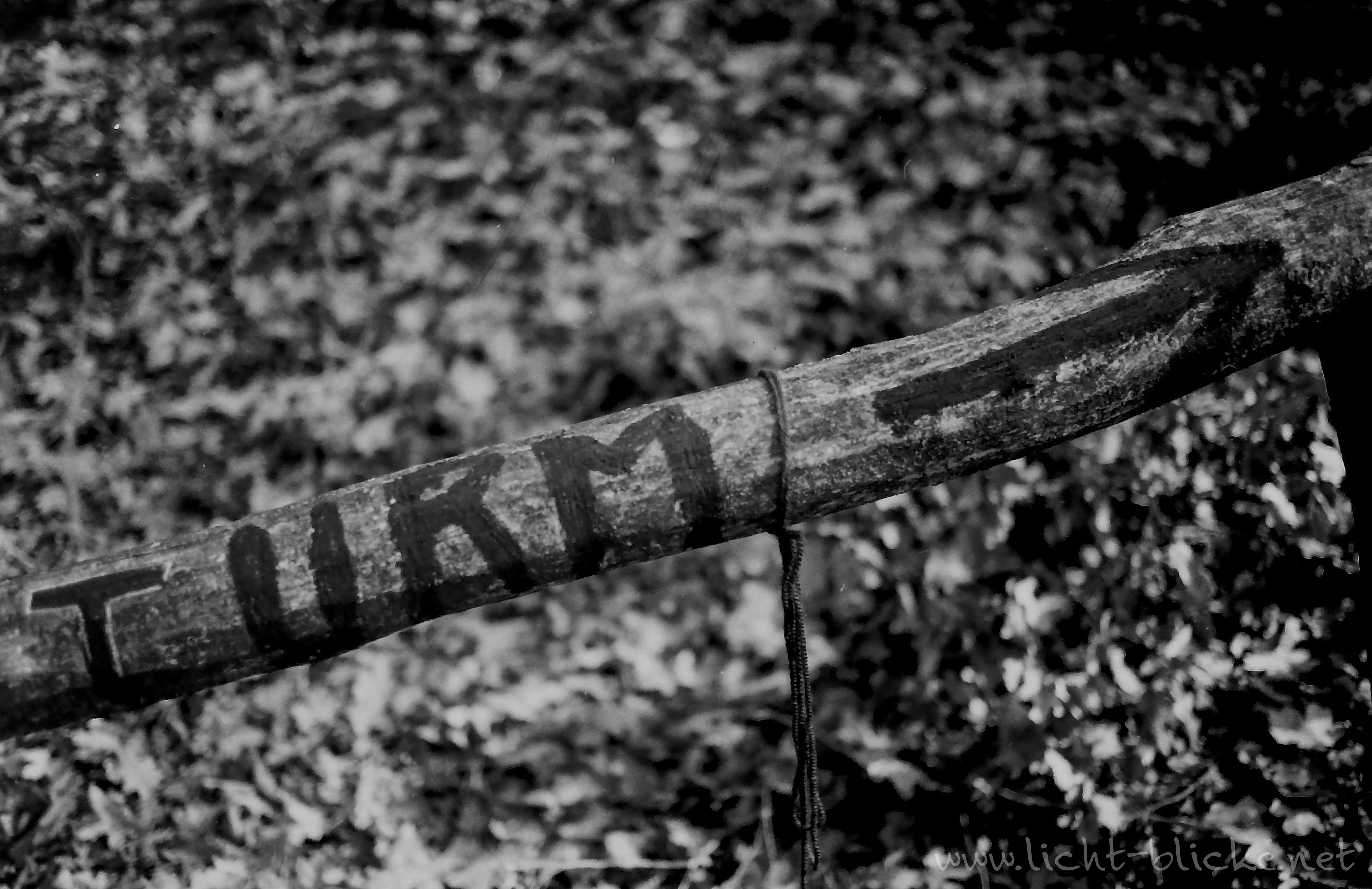 original-wolfen-un54-schwarzwei-film-36er-iso-100 image 5