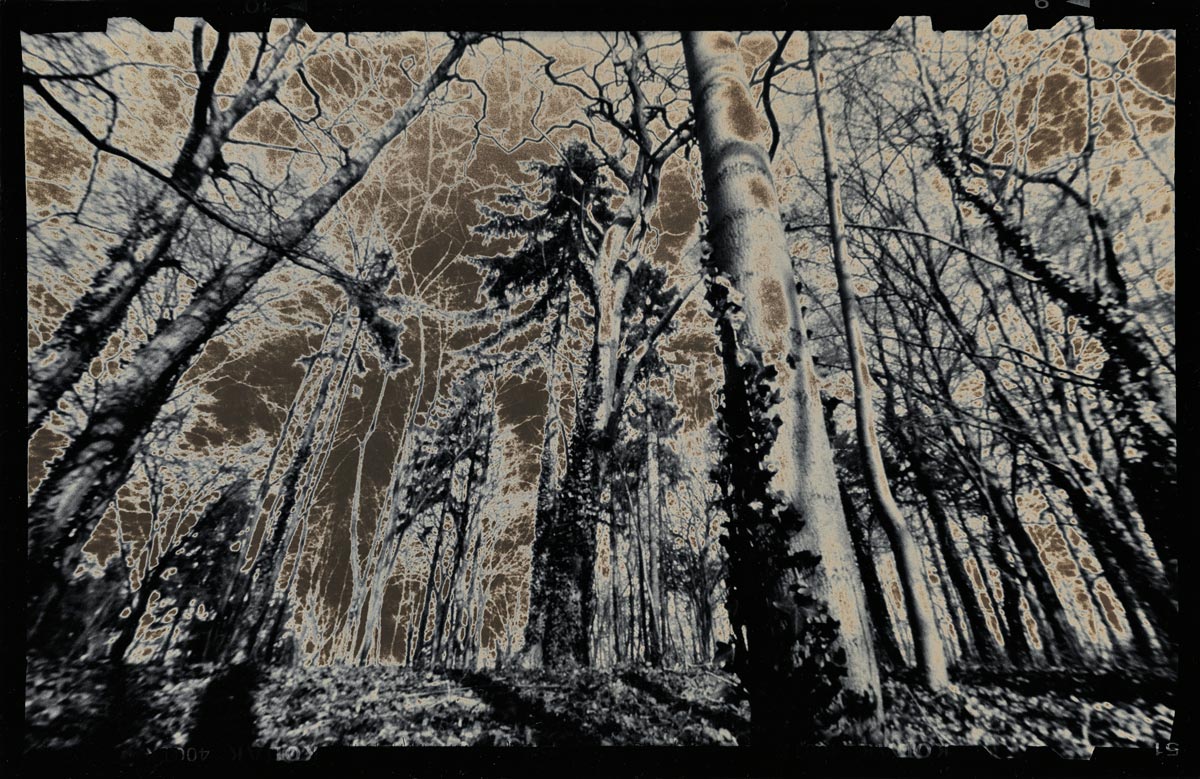 moersch-specials-chromoskedasic-sabattier-fotochemie image 7