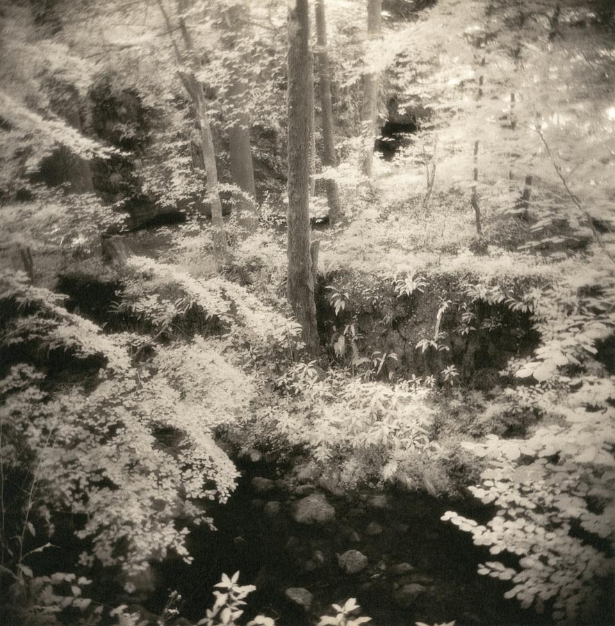 moersch-eco-film-developer-negativentwickler-feink-rnig-2-teilig image 8