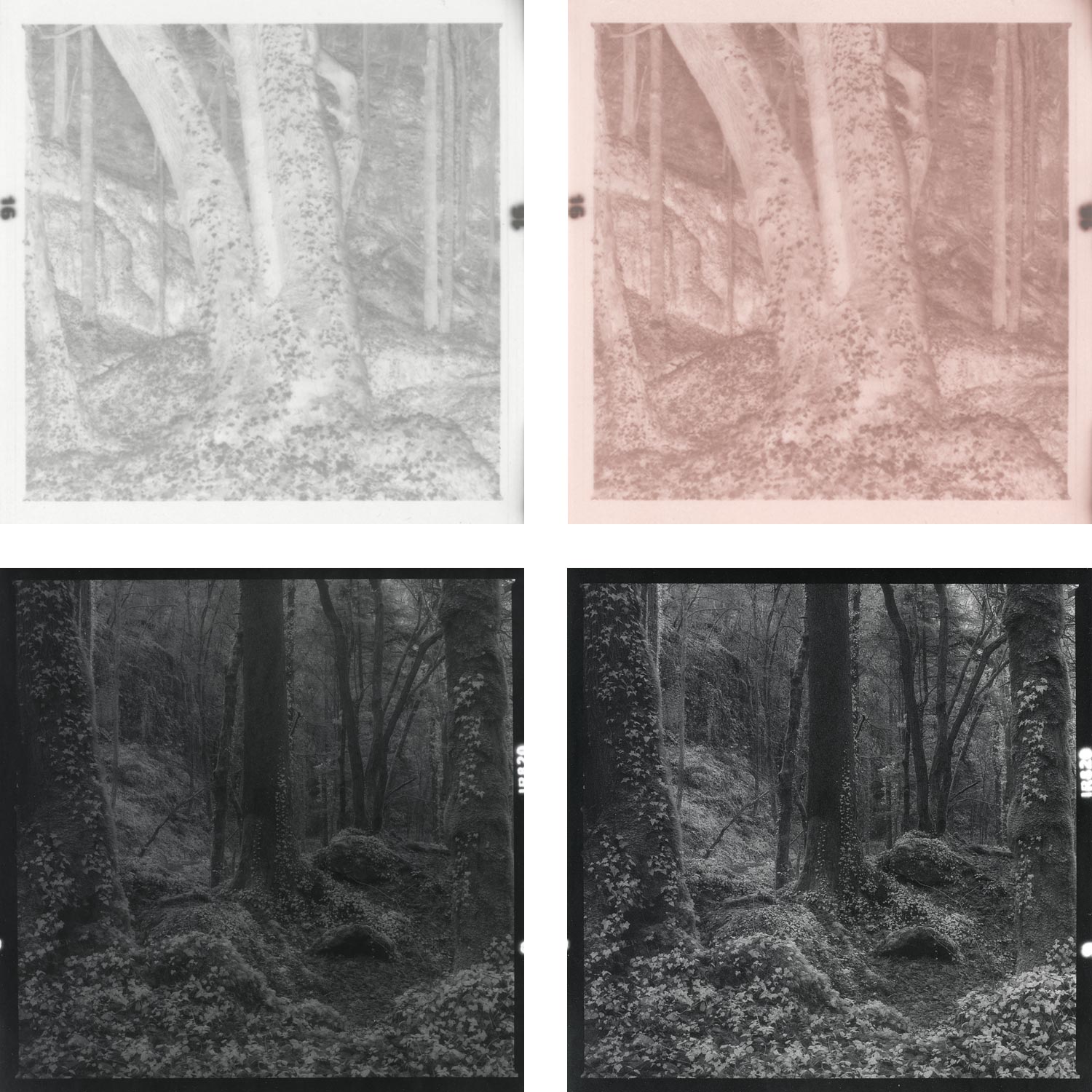 moersch-kupferverst-rker-f-r-negative-specials-3x100ml image 2