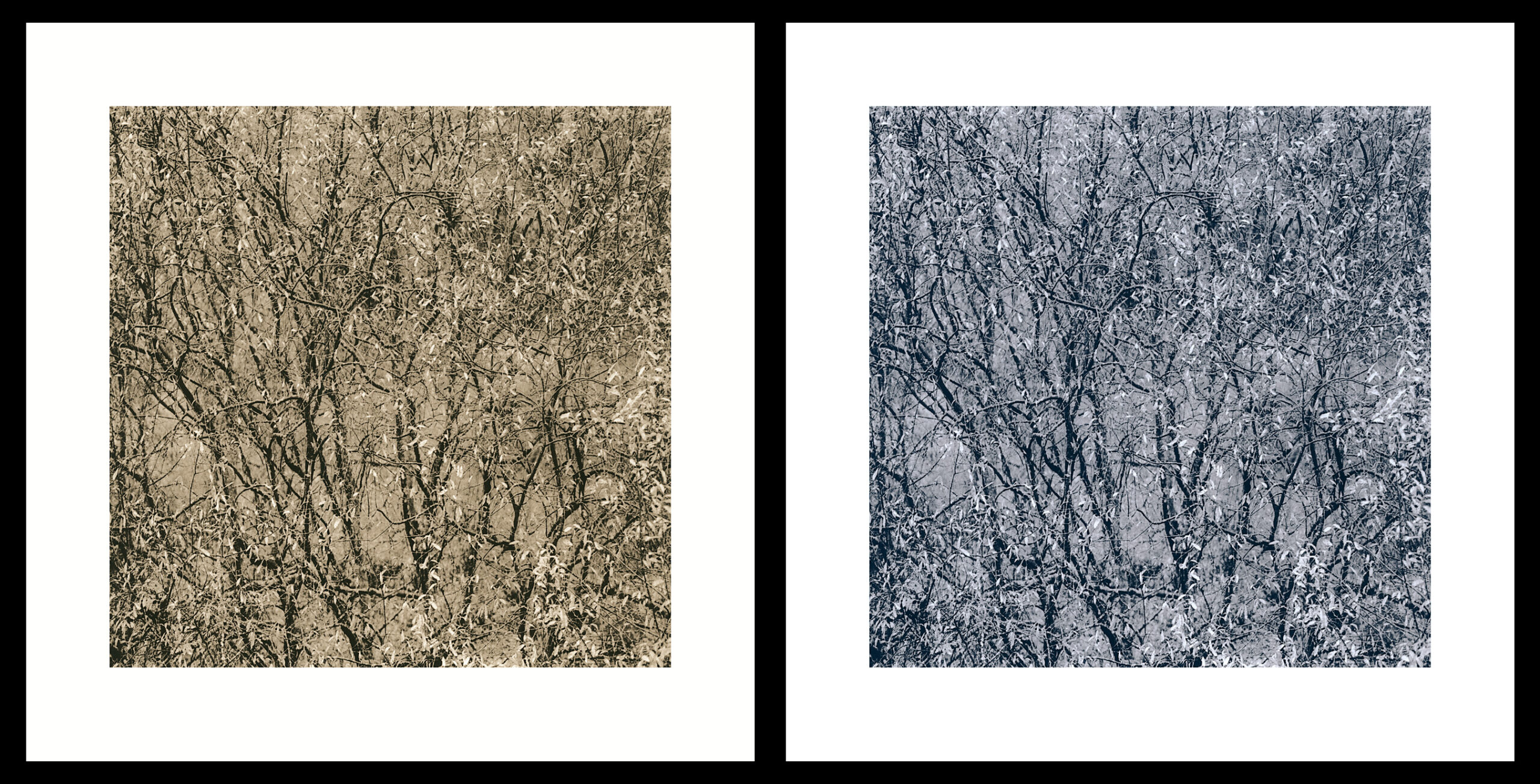 moersch-lith-g-zweitentwickler-lithentwickler-suspension image 6