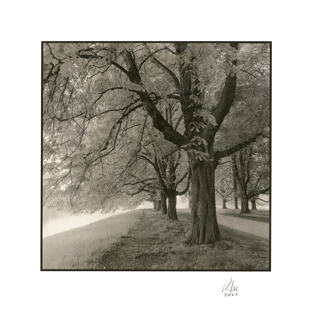 moersch-edeldruck-silber-pop-lobotype-auskopierverfahren image 8