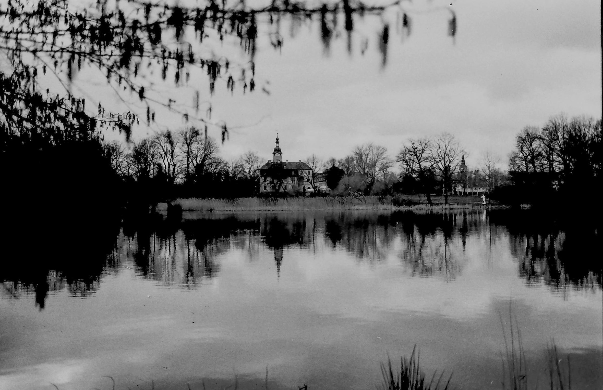orwo-wolfen-np100-35mm-s-w-film-36-aufn-100-asa image 6