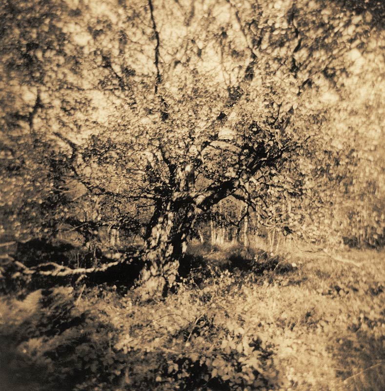 moersch-lith-kit-omega-zweibadentwickler-f-r-lithprints image 5
