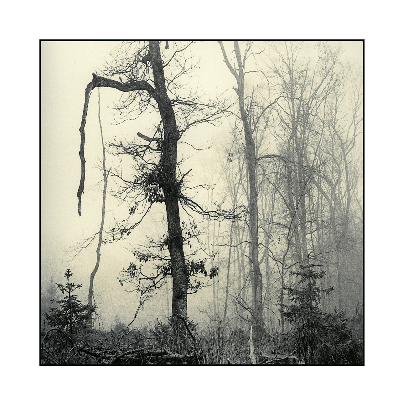 moersch-mt12-kobalttoner-fototoner-violettblau-kit image 7