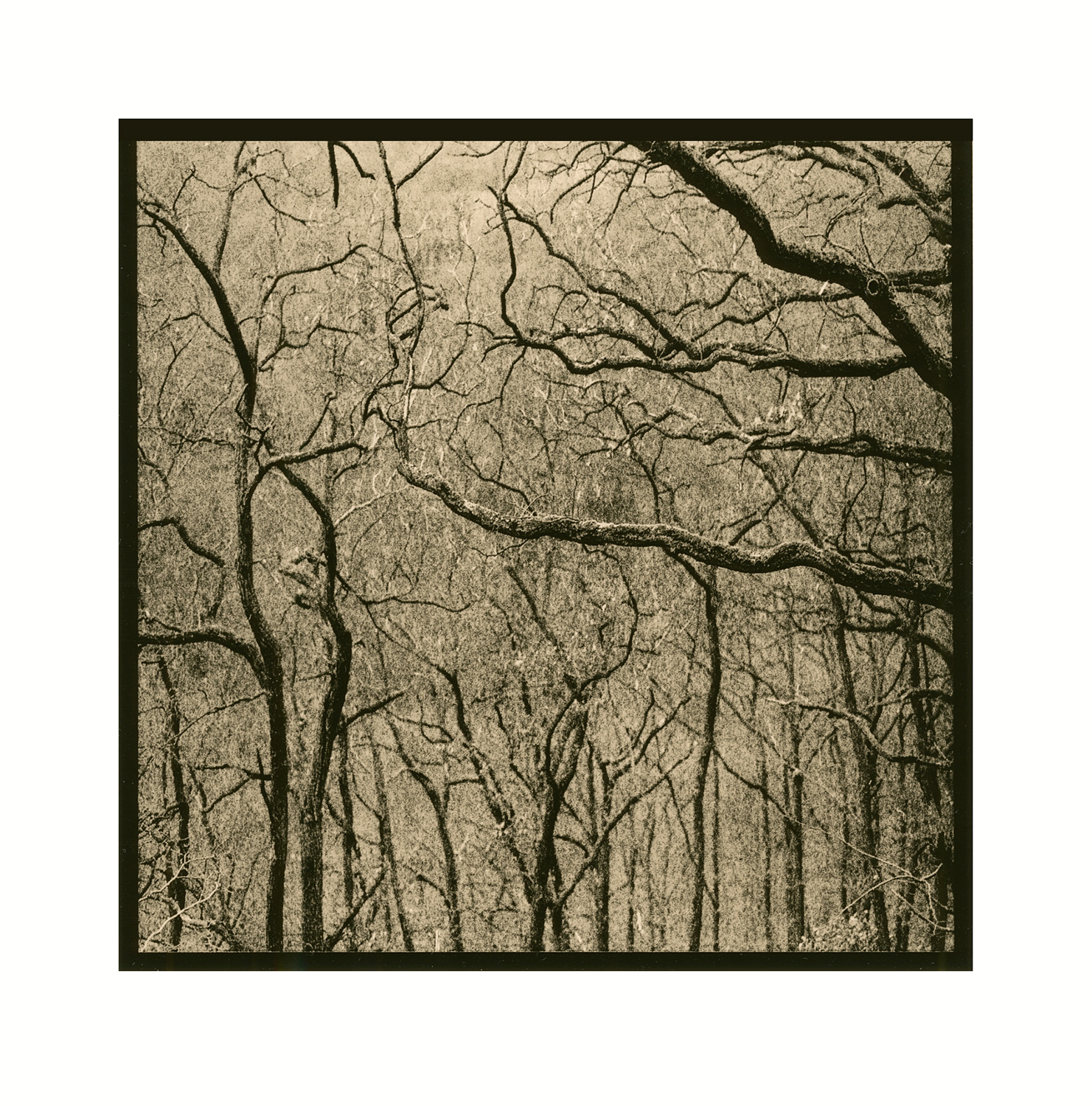 moersch-lith-easylith-lithentwickler-200-ml image 3