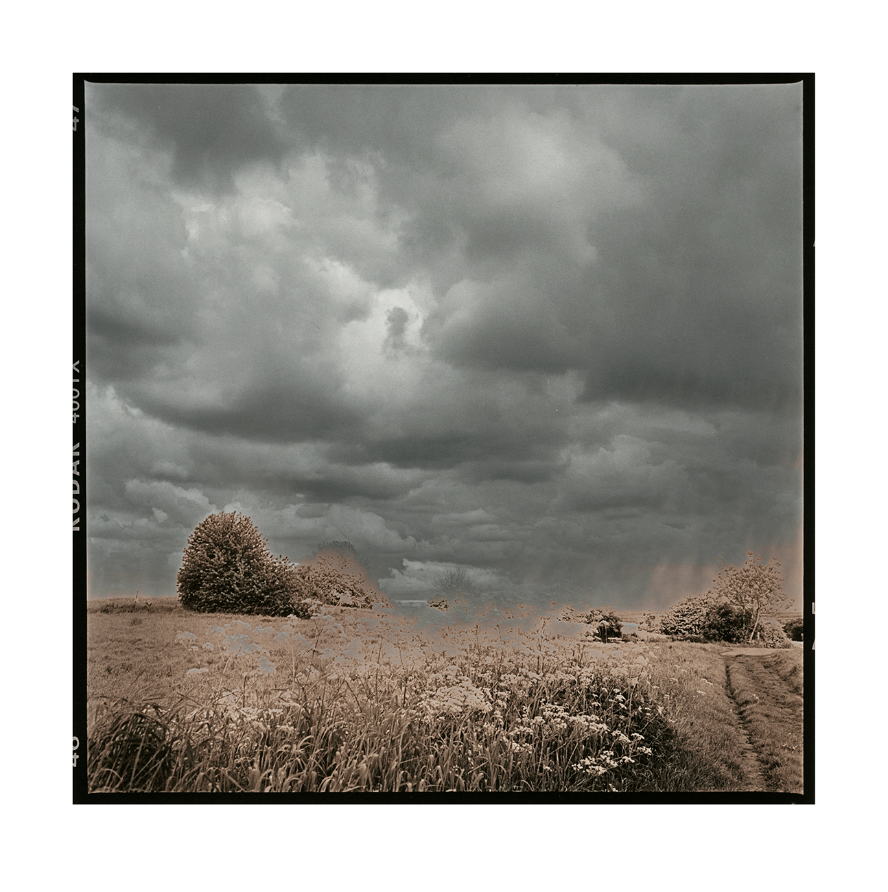 moersch-lith-umentwicklung-lithentwickler-kit-bleicher-farbig image 2