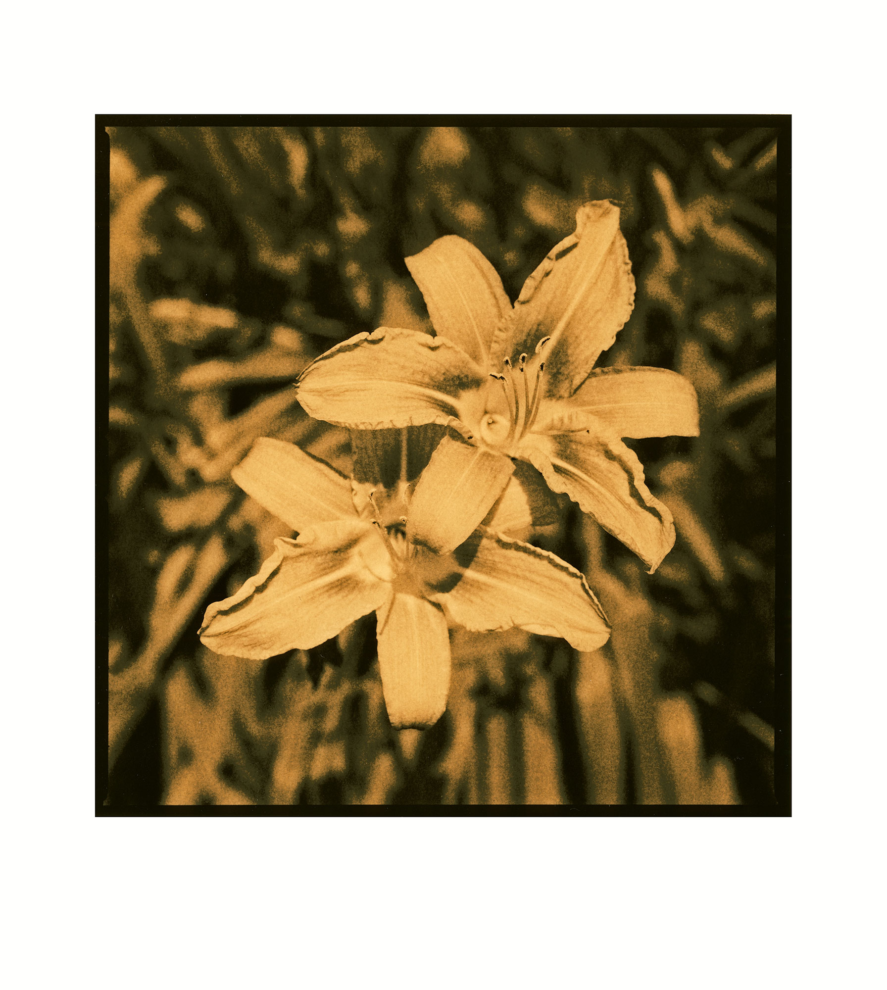 fomatone-131-fotopapier-warmtonpapier-f-r-dunkelkammer image 5