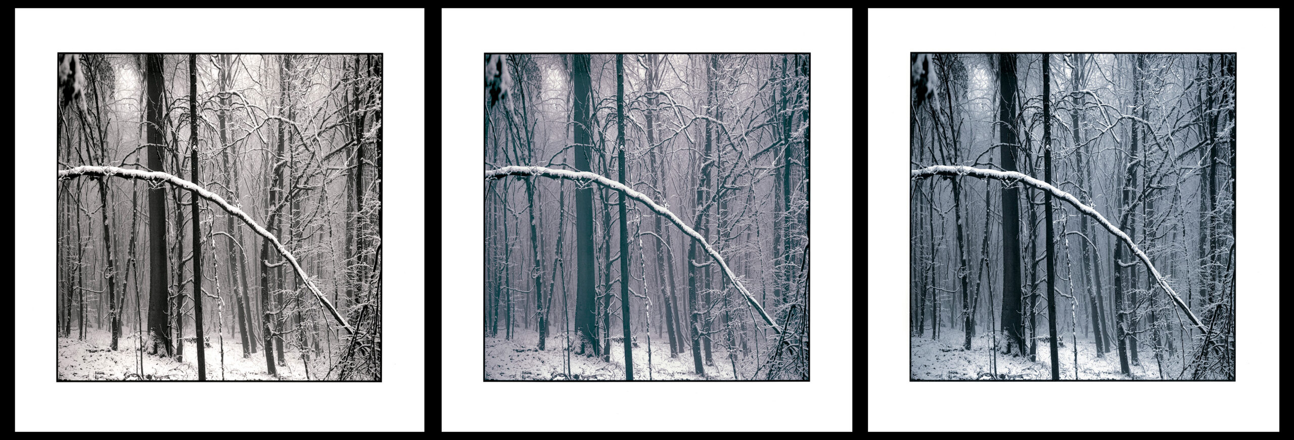 moersch-mt12-kobalttoner-fototoner-violettblau-kit image 2