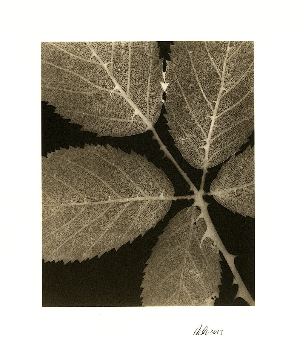 moersch-mt20-carbontoner-kit-fototoner-f-r-warmtonpapier image 3