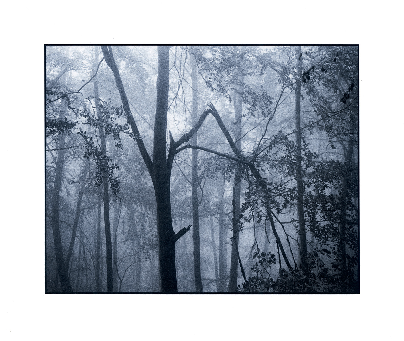 moersch-tanol-speed-negativentwickler-filme-25-400-asa image 2