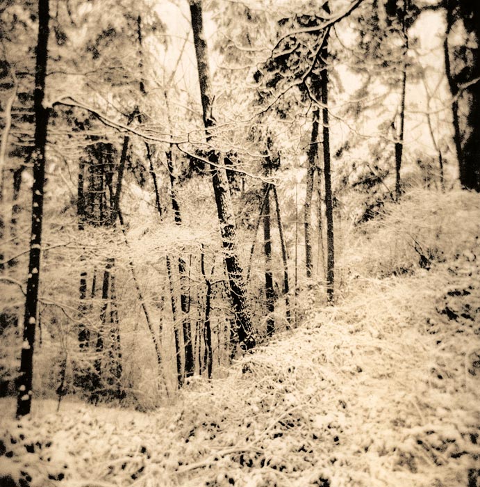 moersch-lith-kit-omega-zweibadentwickler-f-r-lithprints image 2