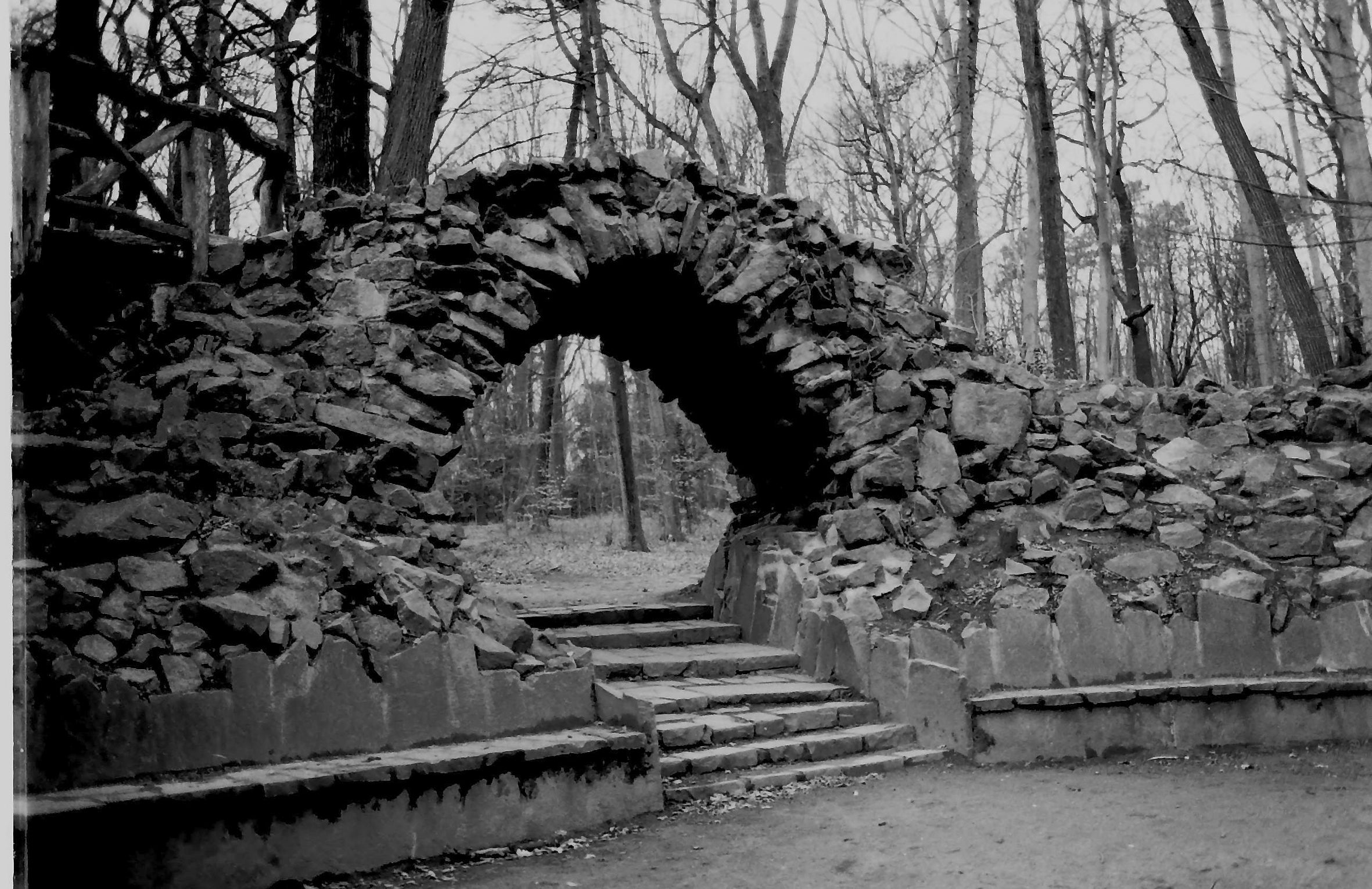 orwo-wolfen-np100-35mm-s-w-film-36-aufn-100-asa image 4
