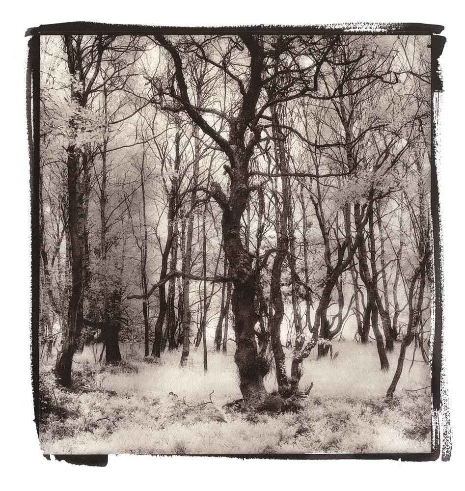 moersch-mt20-carbontoner-kit-fototoner-f-r-warmtonpapier image 5