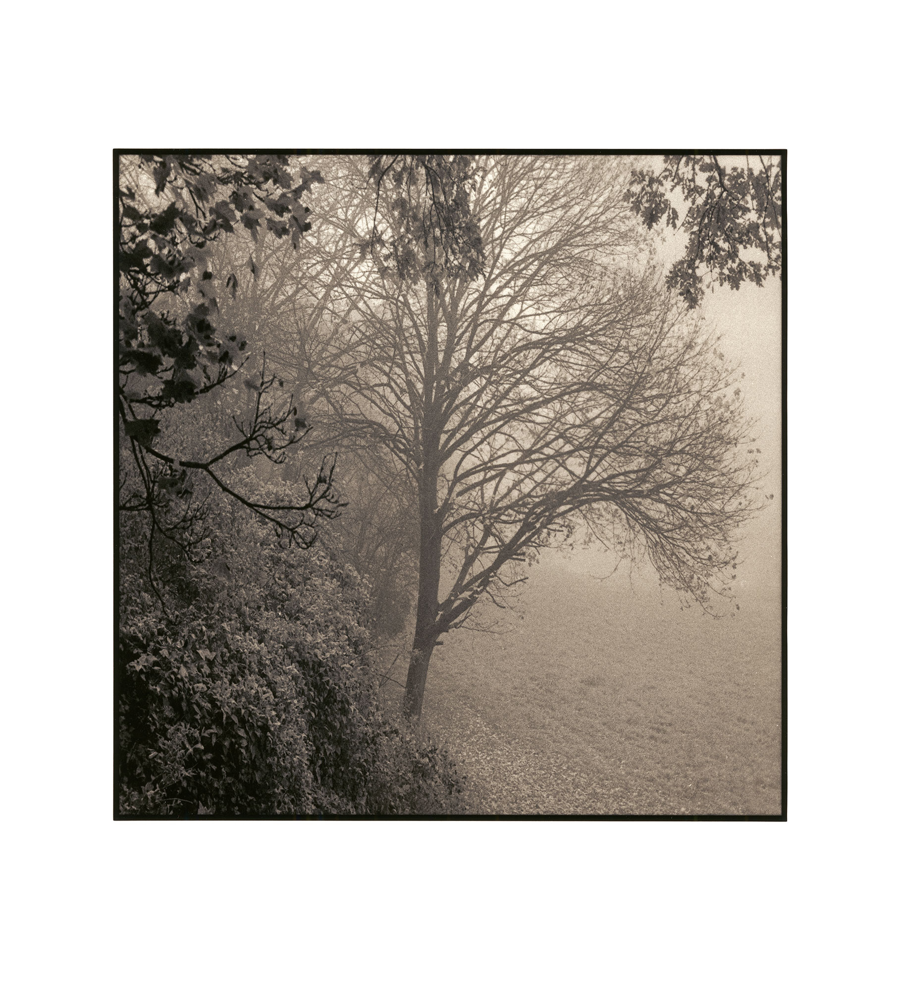 moersch-mt5-sepia-schwefeltoner-polysulfidtoner-k-hlbraun image 7