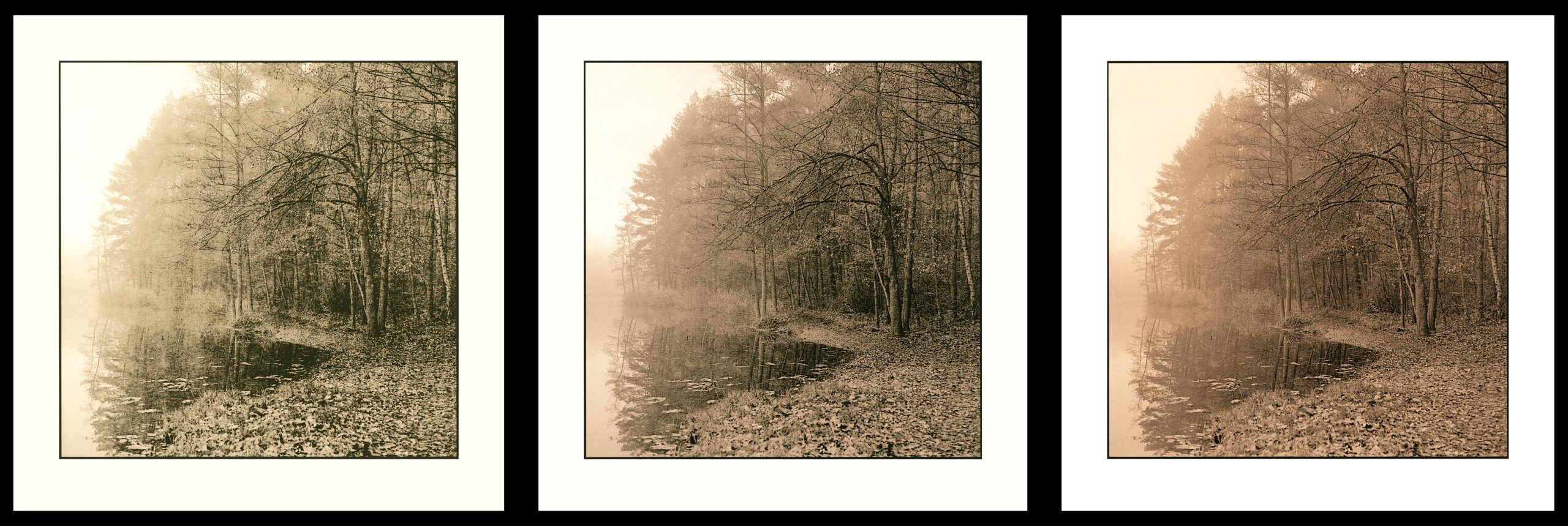 moersch-lith-g-zweitentwickler-lithentwickler-suspension image 5
