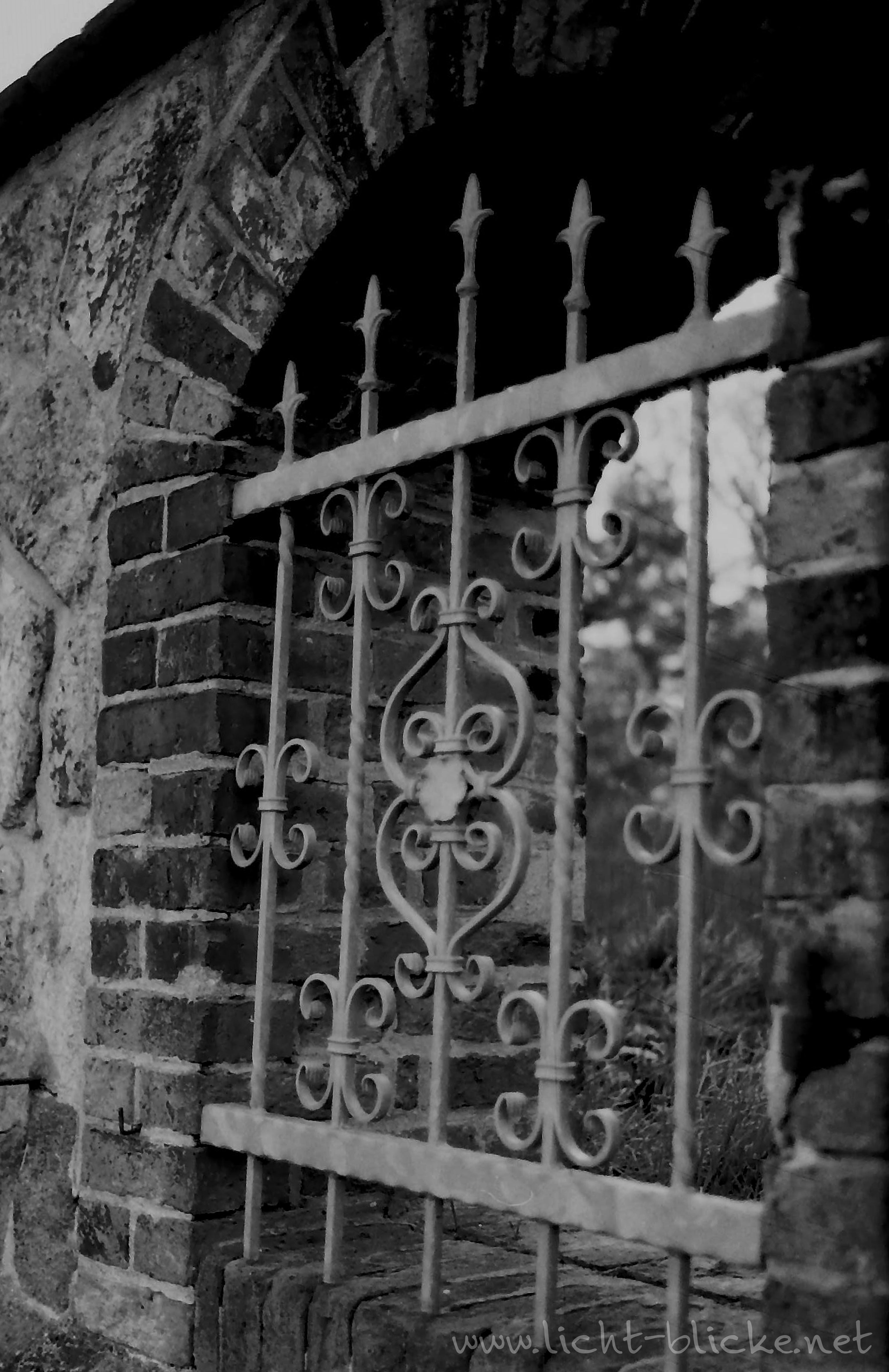 original-wolfen-un54-schwarzwei-film-36er-iso-100 image 8