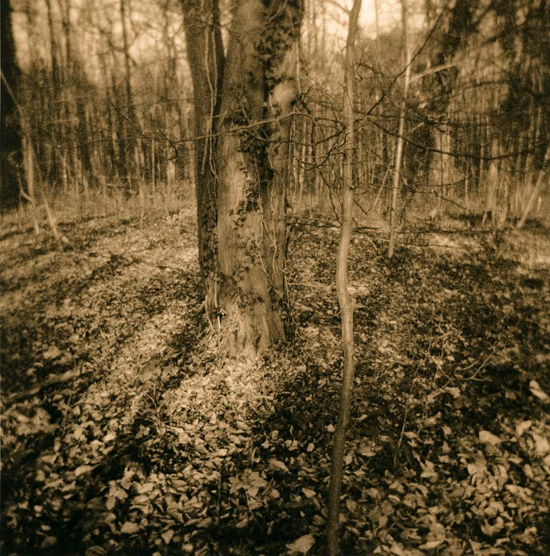 moersch-lith-kit-omega-zweibadentwickler-f-r-lithprints image 4
