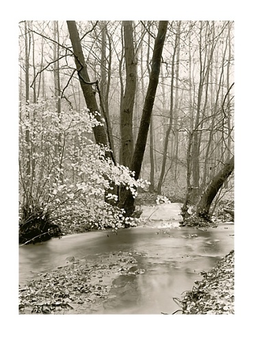moersch-se30-meritol-positiventwickler-f-r-warmton-braun image 6