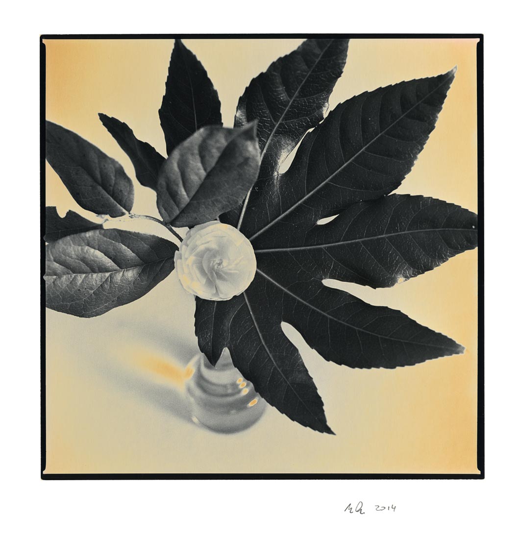 moersch-specials-chromoskedasic-sabattier-fotochemie image 3