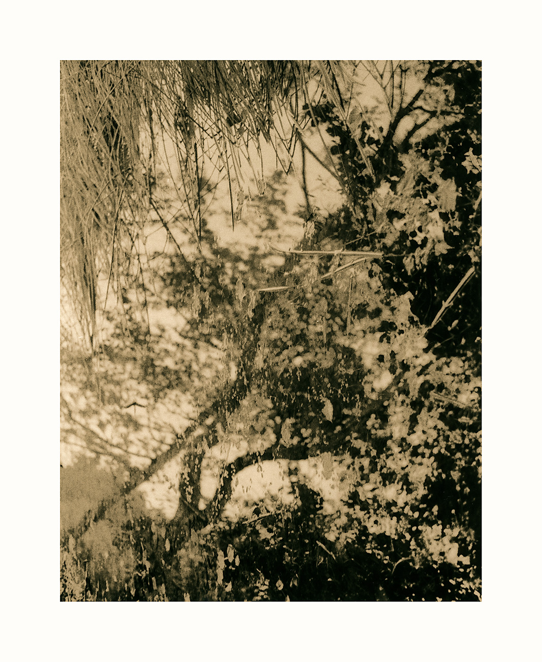 moersch-lith-g-zweitentwickler-lithentwickler-suspension image 3