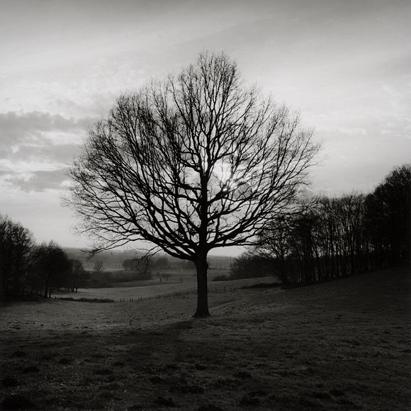 moersch-se4-neutral-positiventwickler-f-r-neutralton-dmax image 4