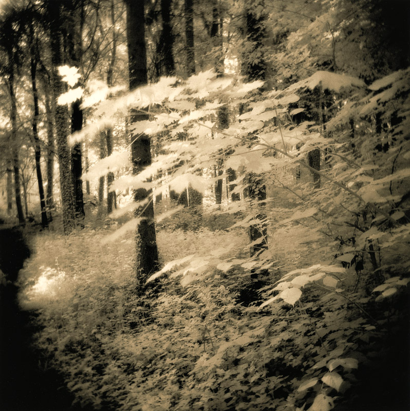 moersch-toner-mt4-siena-schwefeltoner-polysulfid image 4