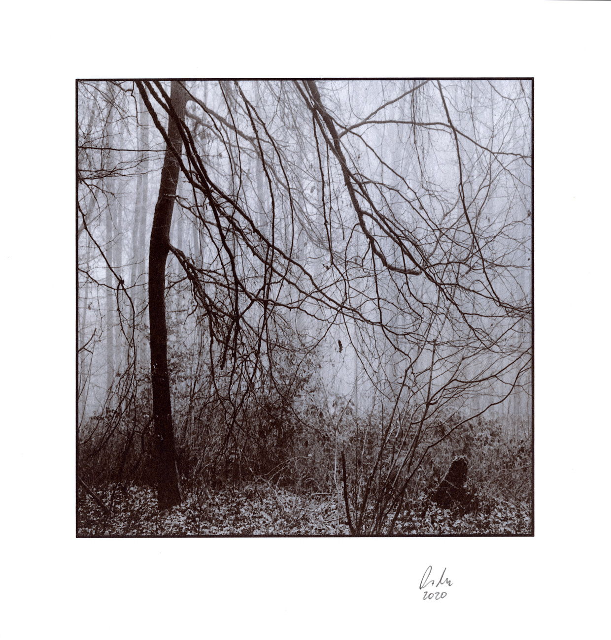 moersch-mt12-kobalttoner-fototoner-violettblau-kit image 5
