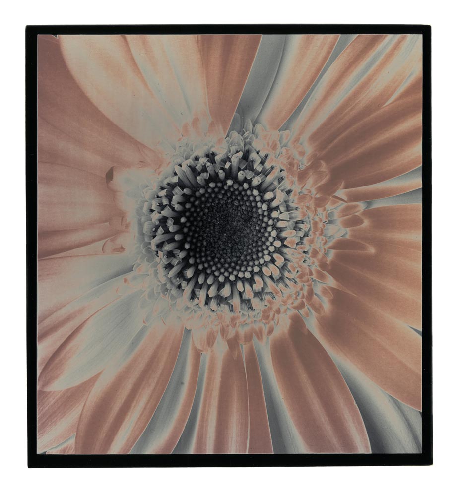 moersch-specials-chromoskedasic-sabattier-fotochemie image 4