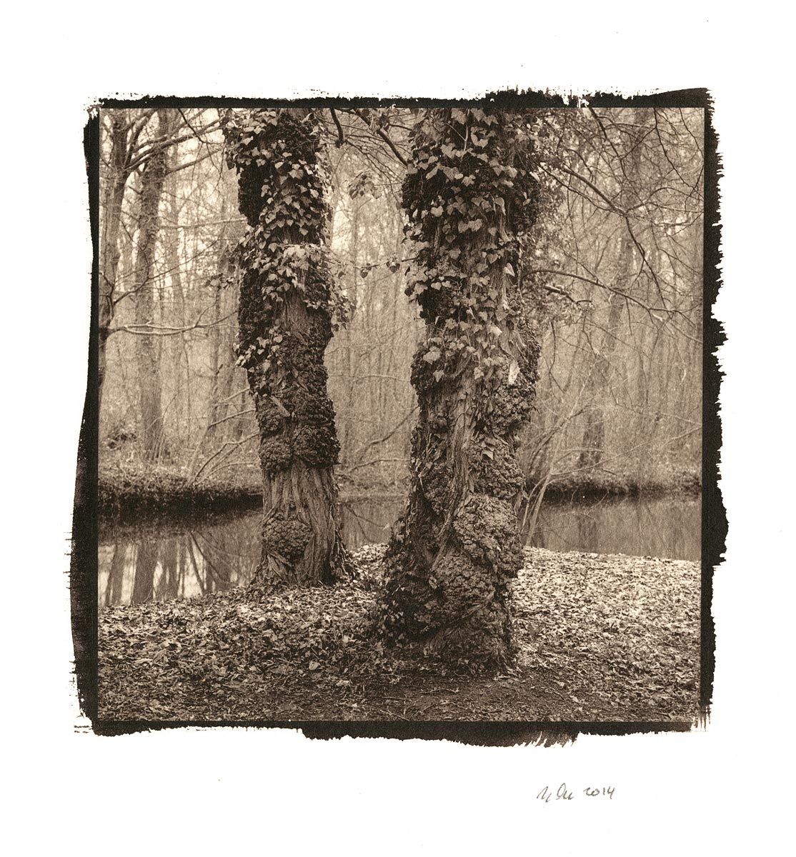 moersch-mt20-carbontoner-kit-fototoner-f-r-warmtonpapier image 4