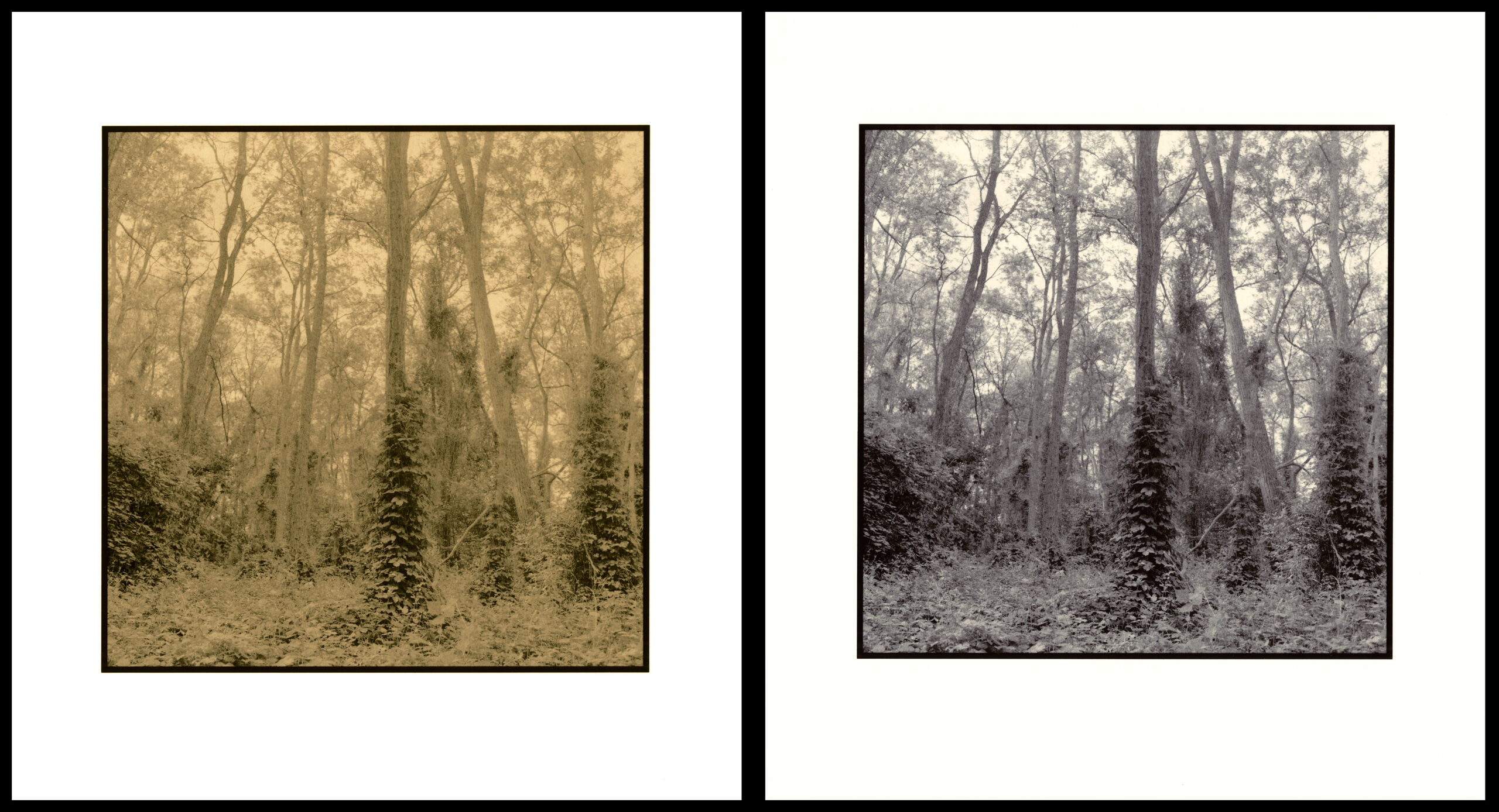 moersch-toner-mt4-siena-schwefeltoner-polysulfid image 7